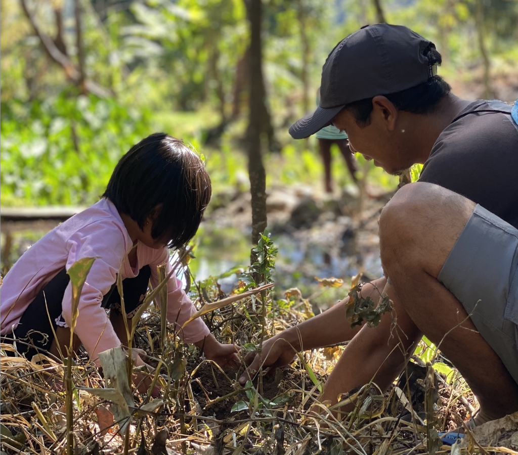 Avila Foundation - Avila Reizen - Boomaanplant