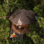 La Manigua Lodge - Cabin